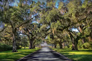 72 Landing Rd, Pawleys Island, SC 29585 - Photo 36
