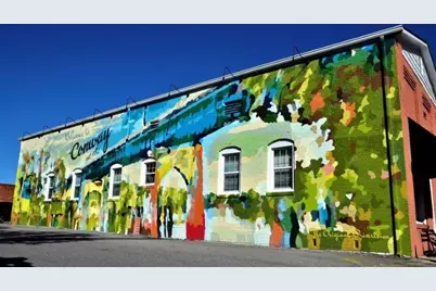 1015 Cherrystone Loop, Conway, SC 29526 - Photo 36