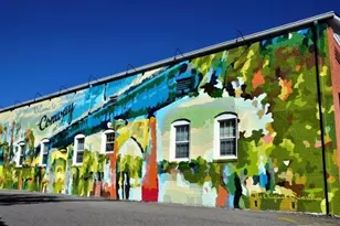 1015 Cherrystone Loop, Conway, SC 29526 - Photo 36