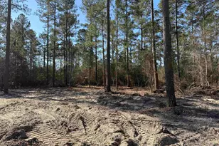 265 Apple Valley Rd, Loris, SC 29569 - Photo 36