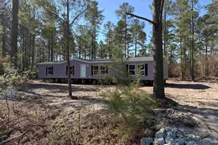 265 Apple Valley Rd, Loris, SC 29569 - Photo 2