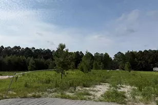265 Apple Valley Rd, Loris, SC 29569 - Photo 38