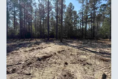 265 Apple Valley Rd., Loris, SC 29569 - Photo 6