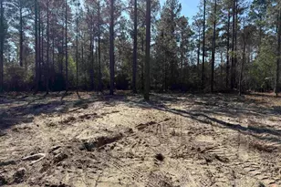 265 Apple Valley Rd, Loris, SC 29569 - Photo 6