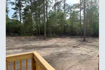 265 Apple Valley Rd., Loris, SC 29569 - Photo 34