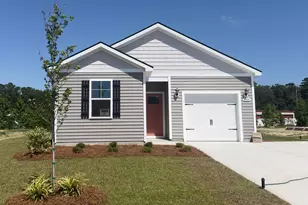 3008 Waterfall Wy, Georgetown, SC 29440 - Photo 1