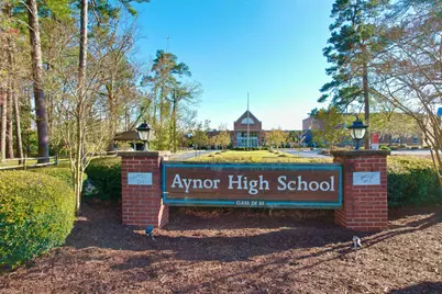 1242 Cappin Ln., Aynor, SC 29511 - Photo 26