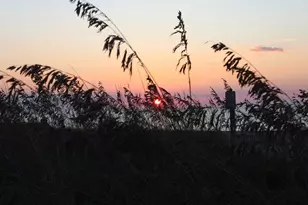 2607 Sand Dunes Dr, Myrtle Beach, SC 29577 - Photo 36
