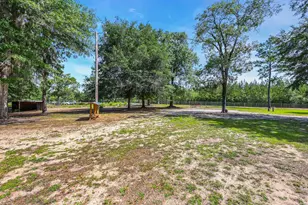 10381 Hardwick Rd, Nichols, SC 29581 - Photo 4