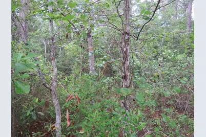 T.B.D. Finnell Rd., Little River, SC 29566 - Photo 6