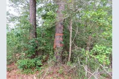T.B.D. Finnell Rd., Little River, SC 29566 - Photo 8