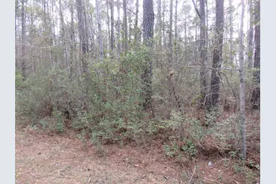 T.B.D. Finnell Rd., Little River, SC 29566 - Photo 1