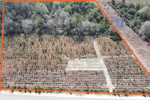 Lot 8 Amos Rd, Georgetown, SC 29440 - Photo 1