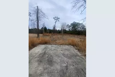 472 Sellers Rd., Conway, SC 29526 - Photo 1