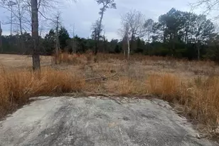 472 Sellers Rd, Conway, SC 29526 - Photo 1