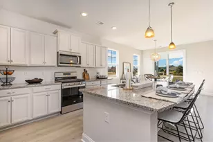 351 Hadley Spgs Ave, Longs, SC 29568 - Photo 4