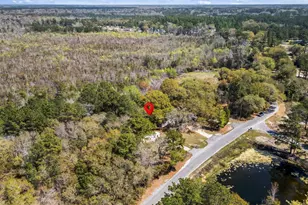 3626 Half Pint Rd, Longs, SC 29568 - Photo 26