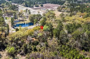 3626 Half Pint Rd, Longs, SC 29568 - Photo 32