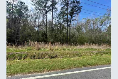 2647 Allen Dew Rd., Conway, SC 29527 - Photo 2