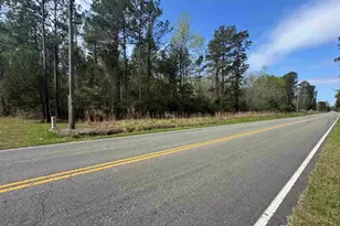 2647 Allen Dew Rd, Conway, SC 29527 - Photo 1