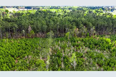 Tbd Jordan Rd., Galivants Ferry, SC 29544 - Photo 8