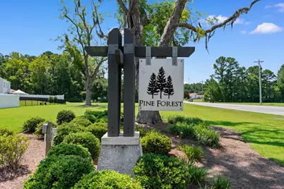 518 Sugar Pine Dr., Conway, SC 29526 - Photo 36