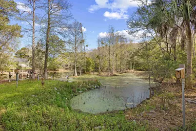 225 Red Maple Dr., Pawleys Island, SC 29585 - Photo 36