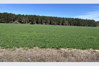 Salem Rd., Bennettsville, SC 29512 - Photo 8