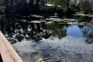 509 67th Ave N, Myrtle Beach, SC 29572 - Photo 26