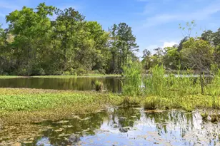 172 Half Moon Trail, Pawleys Island, SC 29585 - Photo 76