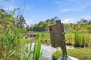 172 Half Moon Trail, Pawleys Island, SC 29585 - Photo 60