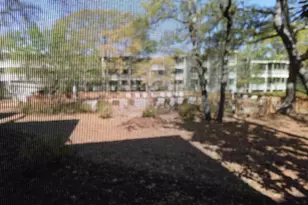 415 Ocean Creek Blvd, Myrtle Beach, SC 29579 - Photo 16