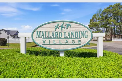 274 Palladium Dr., Surfside Beach, SC 29575 - Photo 24