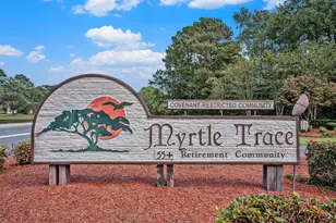 115 Hickory Dr, Conway, SC 29526 - Photo 40