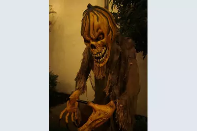 507 Whiddy Loop, Conway, SC 29526 - Photo 60