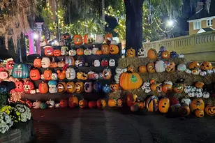 507 Whiddy Loop, Conway, SC 29526 - Photo 58