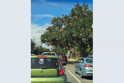 507 Whiddy Loop, Conway, SC 29526 - Photo 62