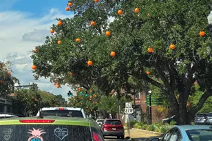 507 Whiddy Loop, Conway, SC 29526 - Photo 62