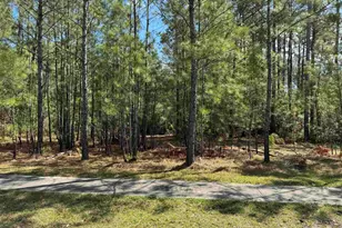 113 Pineberry Dr, Georgetown, SC 29440 - Photo 1