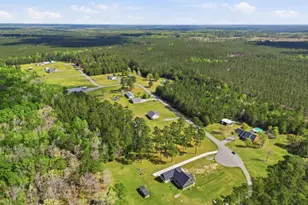 410 Miracle Ct, Andrews, SC 29510 - Photo 46