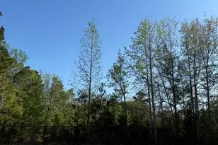 786 Foxtail Dr, Longs, SC 29568 - Photo 8