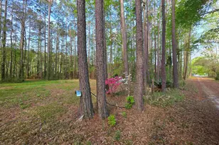 11091 Hwy 707, Murrells Inlet, SC 29576 - Photo 36