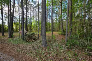 11091 Hwy 707, Murrells Inlet, SC 29576 - Photo 36