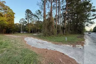 Tbd Hwy 544, Conway, SC 29526 - Photo 1