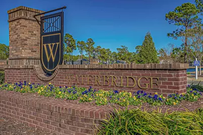 684 Waterbridge Blvd., Myrtle Beach, SC 29579 - Photo 40