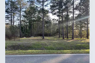 2108 Lees Landing Circle, Conway, SC 29526 - Photo 1