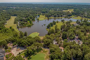 6524 White Heron Crescent, Myrtle Beach, SC 29588 - Photo 56