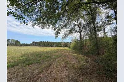 13.32 Ac - 1014 W Highway 378 Bypass, Lake City, SC 29560 - Photo 8