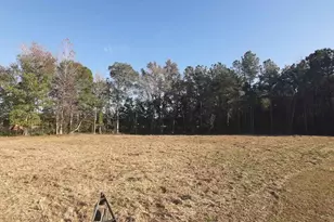 Tbd Firehouse Rd, Conway, SC 29527 - Photo 1