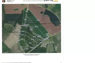 Tbd Tract 3 Trinidad Ard Rd, Coward, SC 29530 - Photo 1